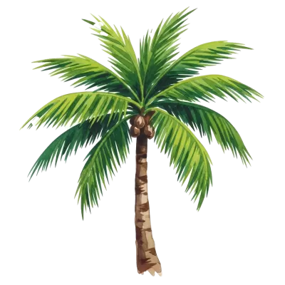 Imagen PNG para descargar